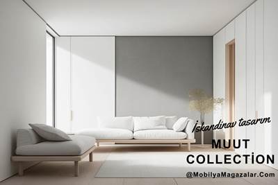 muut-collection.png